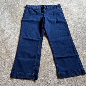 Banana Republic Dark Blue Trouser Jeans